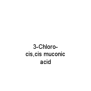 3-Chloro-cis,cis muconic acid